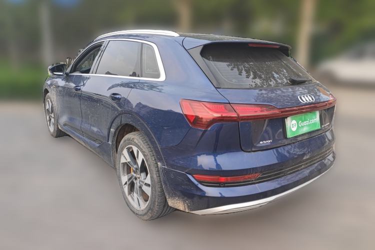 Used Audi e-tron 2019 55 quattro Fashion Edition Rear Left 45 Deg