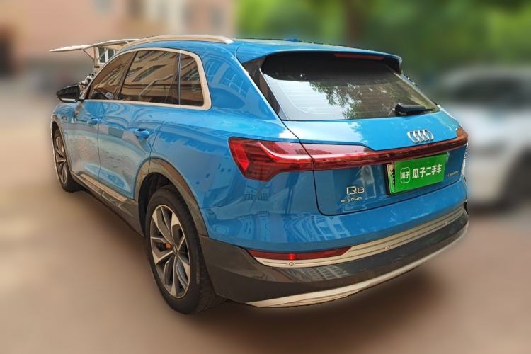 Used Audi e-tron 2019 55 quattro Global Limited Edition Edition 1 Rear Left 45 Deg
