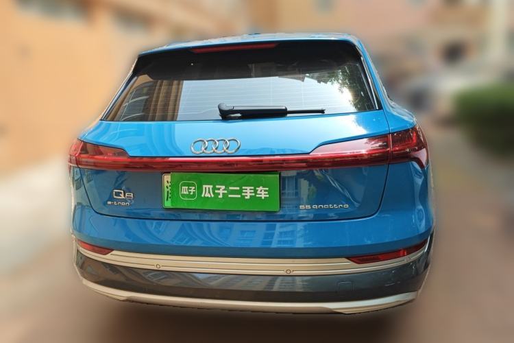 Used Audi e-tron 2019 55 quattro Global Limited Edition Edition 1 Rear