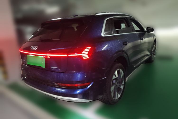 Used Audi e-tron 2019 55 quattro Technology Edition Rear Right 45 Deg