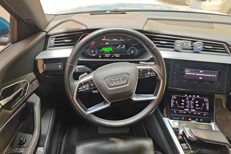 Used Audi e-tron 2019 55 quattro Global Limited Edition Edition 1 Steering Wheel