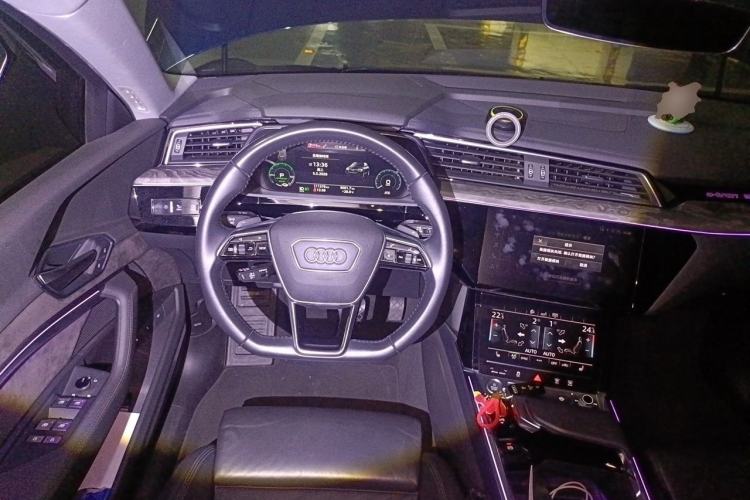 Used Audi e-tron 2019 55 quattro Technology Edition Steering Wheel
