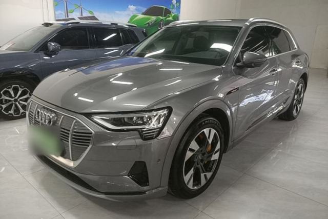 Used Audi e-tron 2019 55 quattro Technology Edition