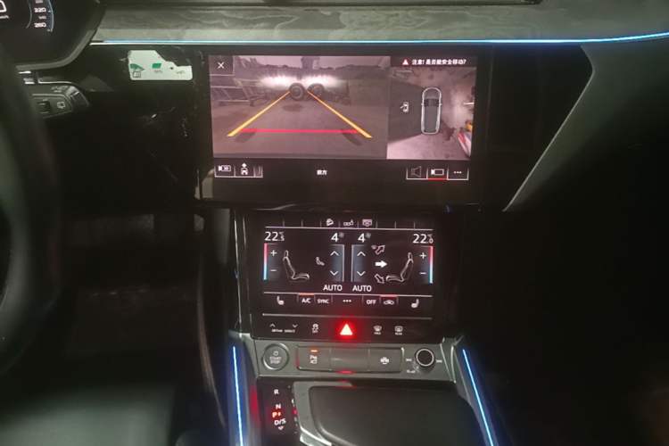 Used Audi e-tron 2019 55 quattro Technology Edition Audio And AC Panel