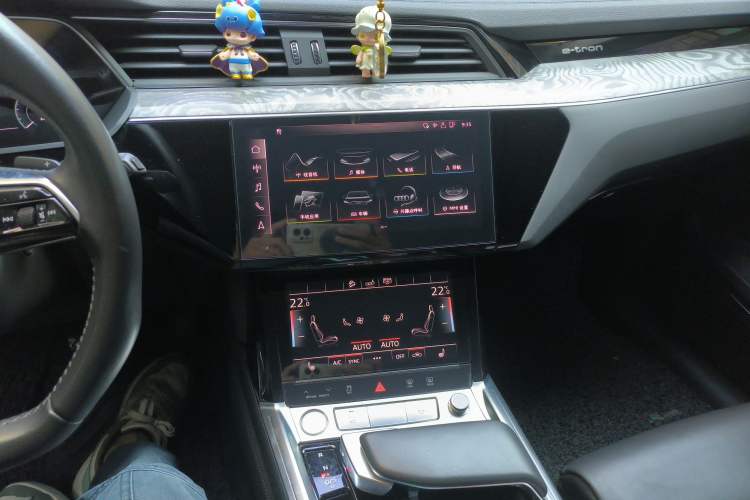 Used Audi e-tron 2019 55 quattro Technology Edition Audio And AC Panel