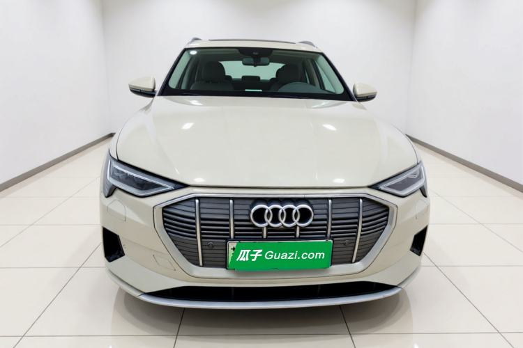 Used Audi e-tron 2019 55 quattro Technology Edition Front