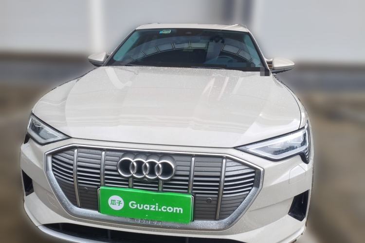 Used Audi e-tron 2019 55 quattro Technology Edition Front