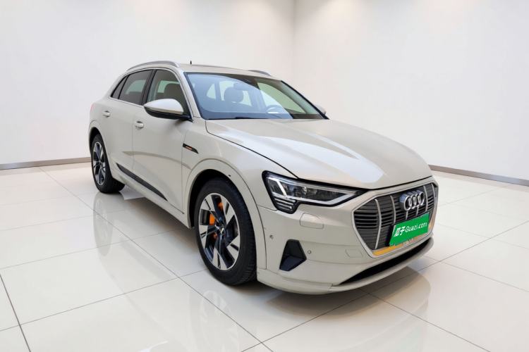 Used Audi e-tron 2019 55 quattro Technology Edition Front Right 45 Deg