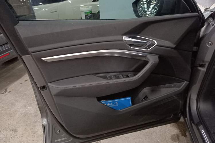 Used Audi e-tron 2019 55 quattro Fashion Edition Left Front Door Interior