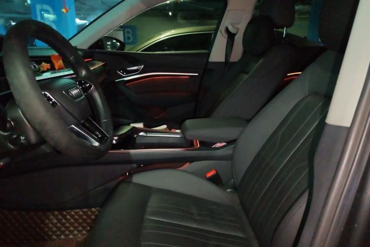 Used Audi e-tron 2019 55 quattro Fashion Edition Left Front Seat