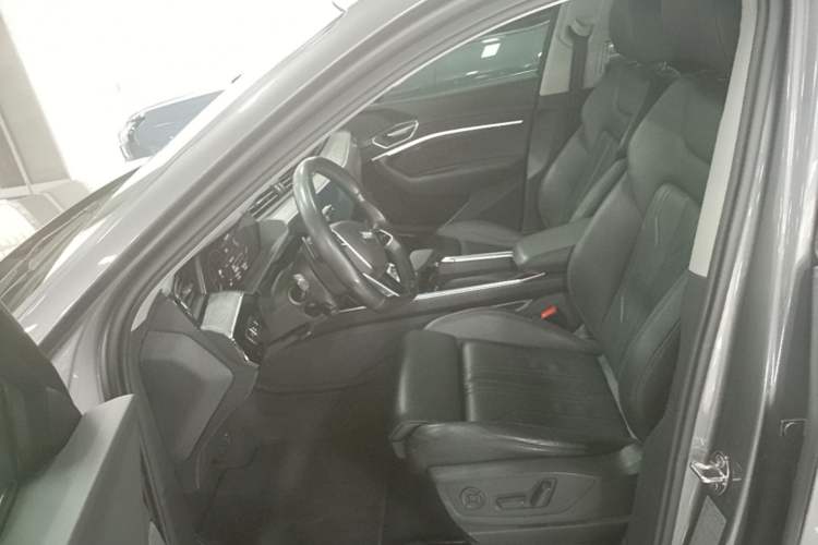 Used Audi e-tron 2019 55 quattro Technology Edition Left Front Seat