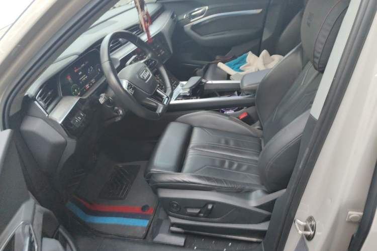 Used Audi e-tron 2019 55 quattro Technology Edition Left Front Seat