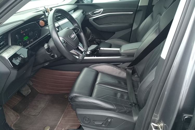 Used Audi e-tron 2019 55 quattro Technology Edition Left Front Seat