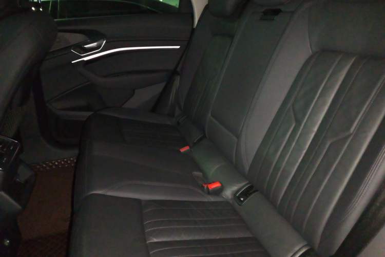Used Audi e-tron 2019 55 quattro Fashion Edition Left Rear Seat