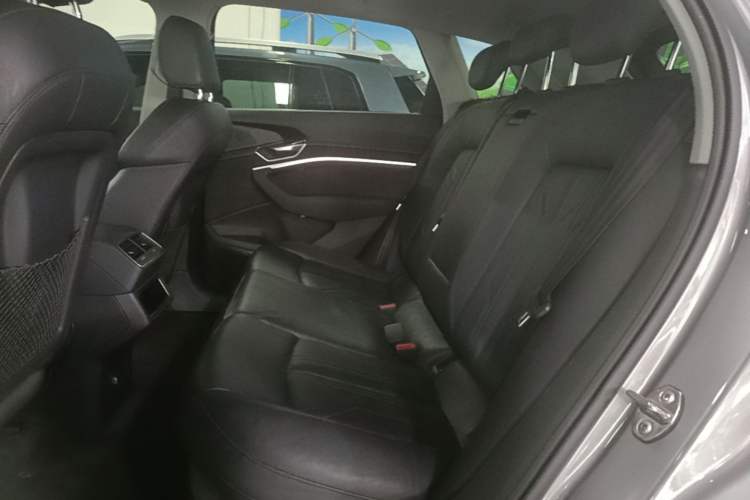 Used Audi e-tron 2019 55 quattro Technology Edition Left Rear Seat