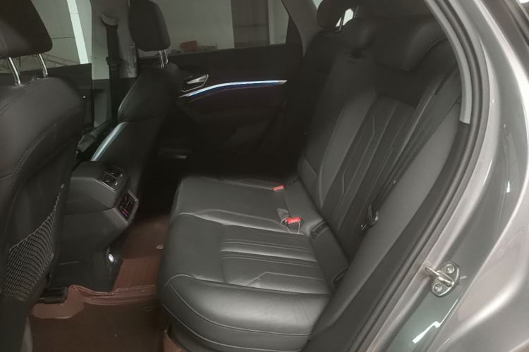 Used Audi e-tron 2019 55 quattro Technology Edition Left Rear Seat