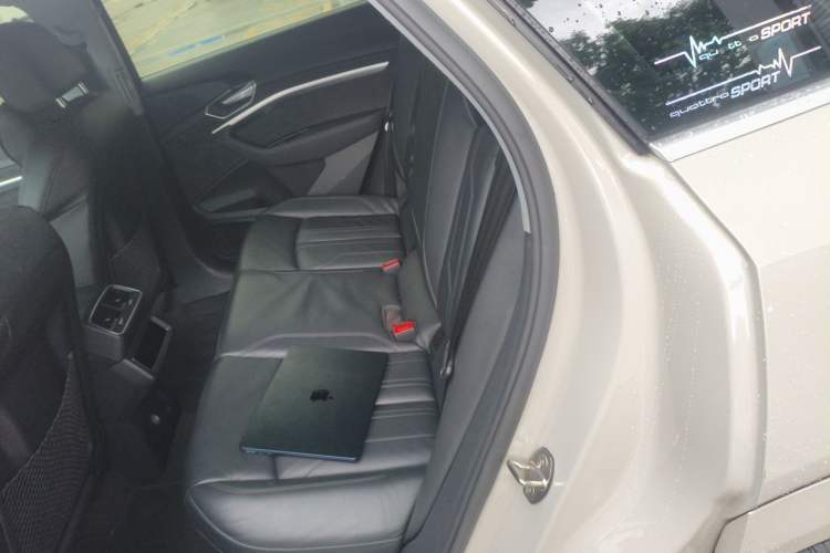 Used Audi e-tron 2019 55 quattro Technology Edition Left Rear Seat