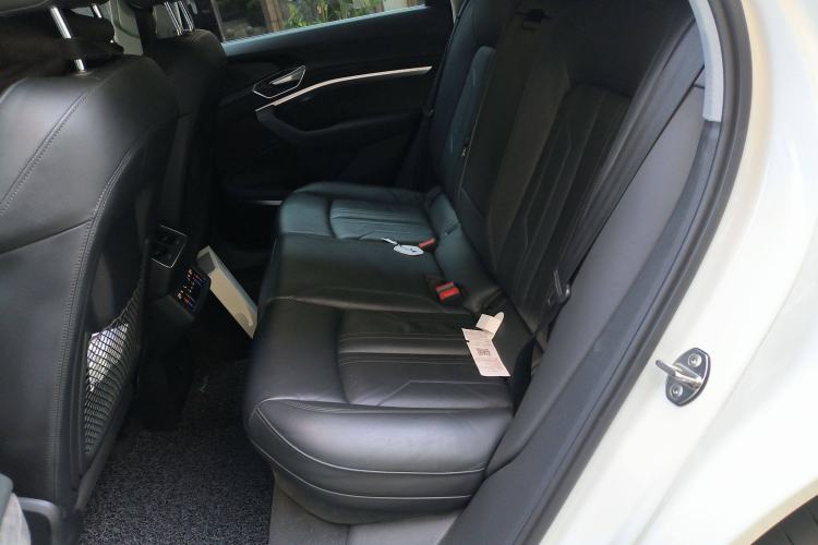 Used Audi e-tron 2019 55 quattro Technology Edition Left Rear Seat