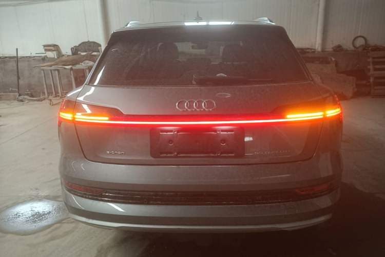 Used Audi e-tron 2019 55 quattro Technology Edition Rear