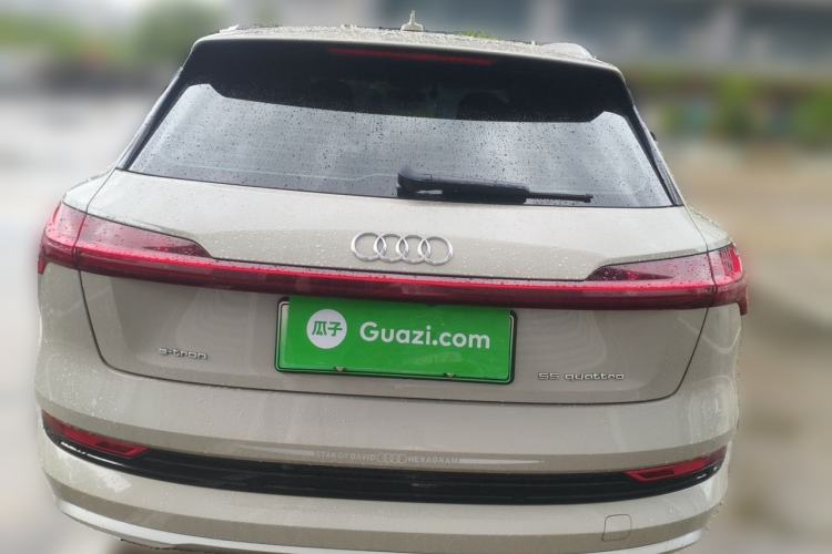 Used Audi e-tron 2019 55 quattro Technology Edition Rear