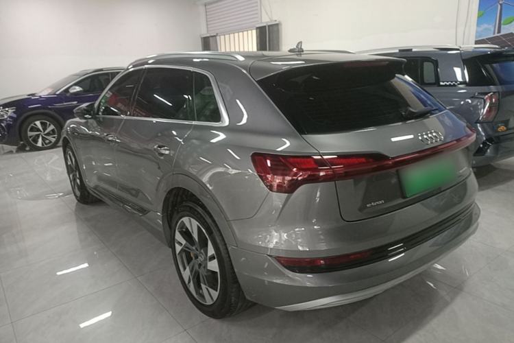 Used Audi e-tron 2019 55 quattro Technology Edition Rear Left 45 Deg