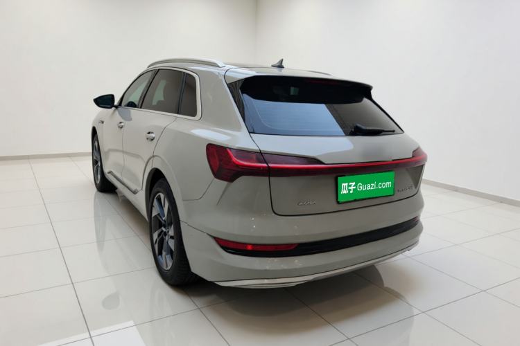 Used Audi e-tron 2019 55 quattro Technology Edition Rear Left 45 Deg