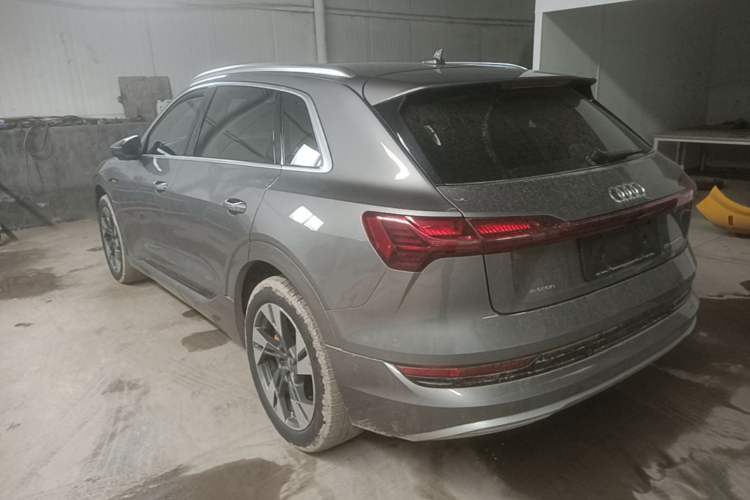 Used Audi e-tron 2019 55 quattro Technology Edition Rear Left 45 Deg