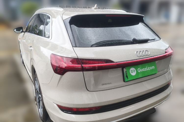 Used Audi e-tron 2019 55 quattro Technology Edition Rear Left 45 Deg