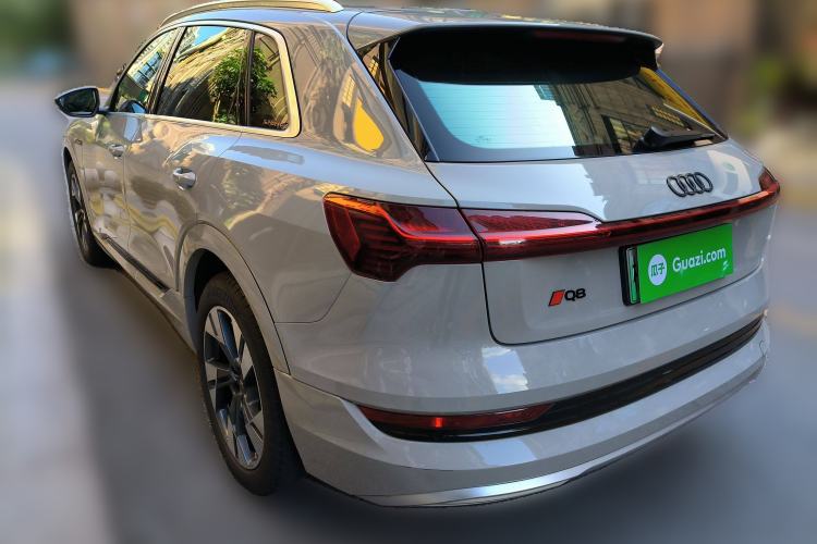 Used Audi e-tron 2019 55 quattro Technology Edition Rear Left 45 Deg