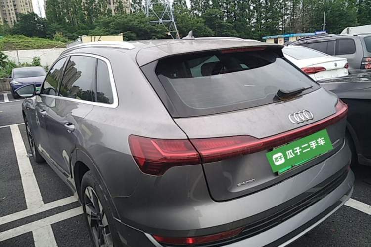 Used Audi e-tron 2019 55 quattro Technology Edition Rear Left 45 Deg