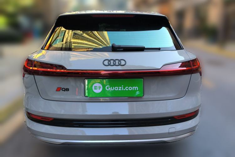 Used Audi e-tron 2019 55 quattro Technology Edition Rear