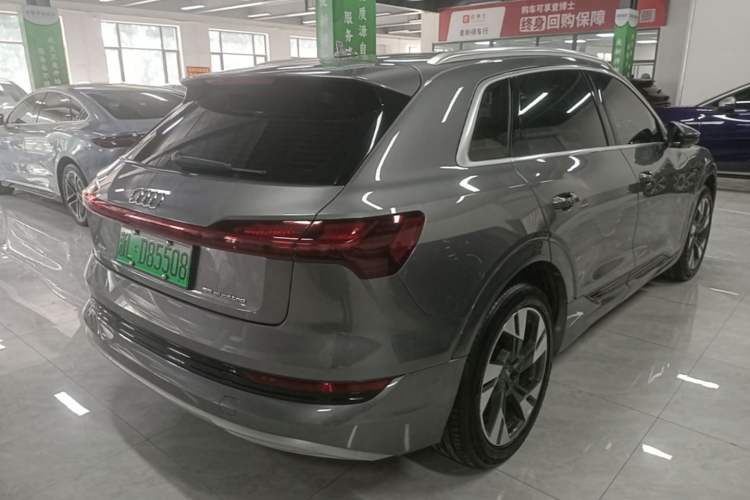 Used Audi e-tron 2019 55 quattro Technology Edition Rear Right 45 Deg