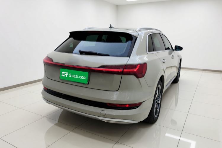 Used Audi e-tron 2019 55 quattro Technology Edition Rear Right 45 Deg
