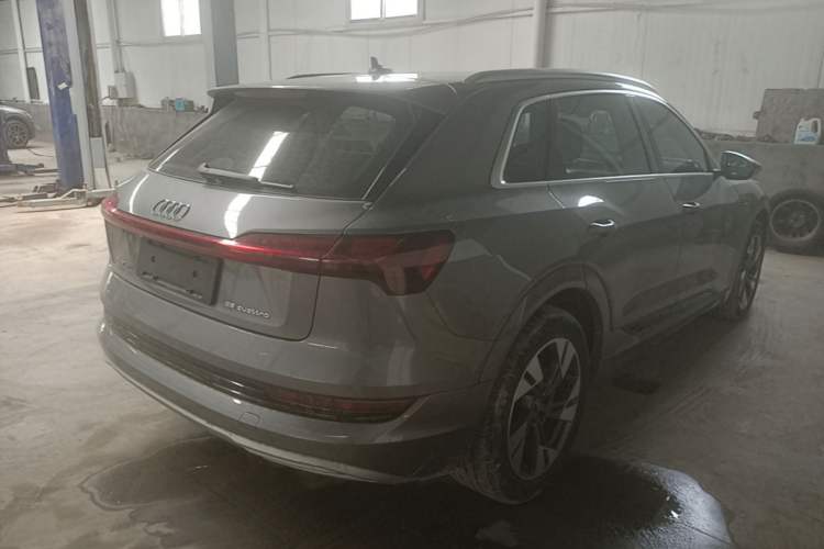 Used Audi e-tron 2019 55 quattro Technology Edition Rear Right 45 Deg