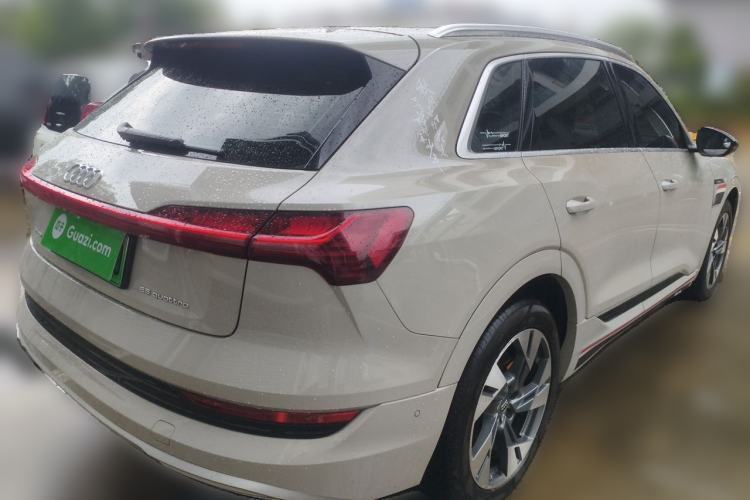 Used Audi e-tron 2019 55 quattro Technology Edition Rear Right 45 Deg