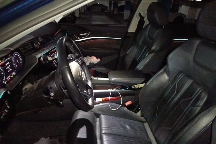 Used Audi e-tron 2019 55 quattro Exclusive Edition Left Front Seat