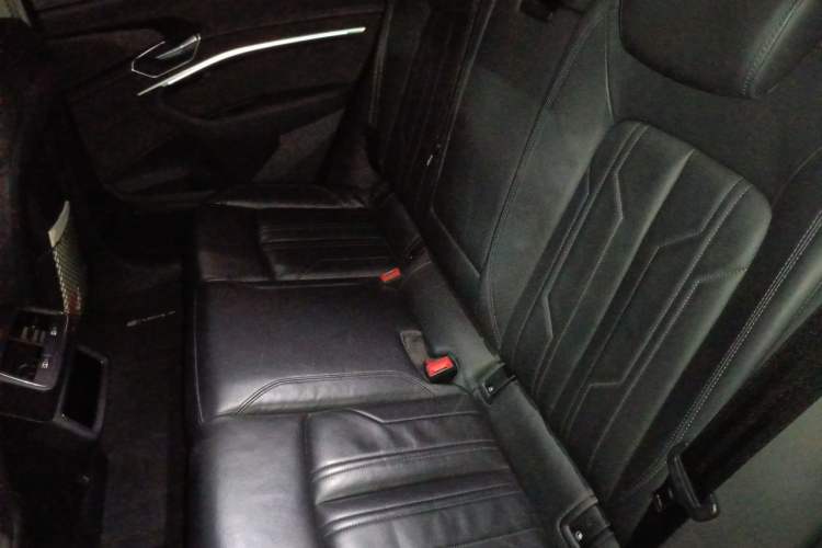 Used Audi e-tron 2019 55 quattro Exclusive Edition Left Rear Seat