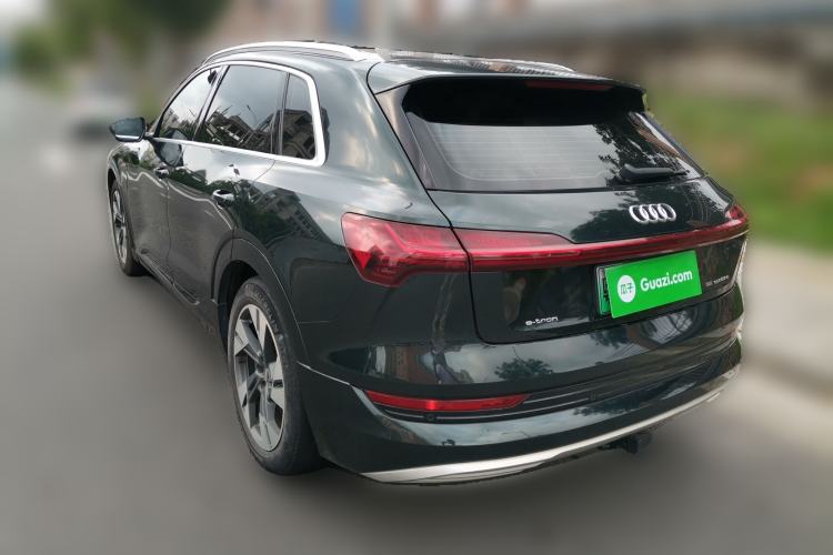 Used Audi e-tron 2019 55 quattro Technology Edition Rear Left 45 Deg