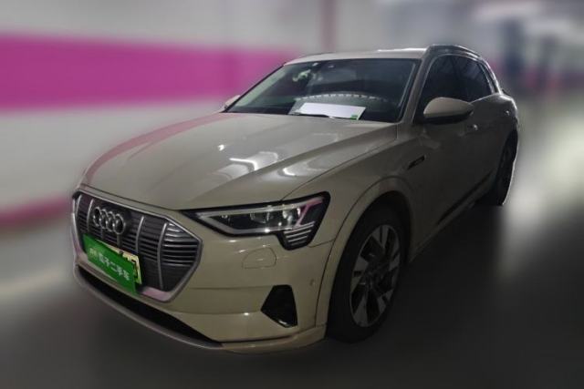 Used Audi e-tron 2019 55 quattro Technology Edition