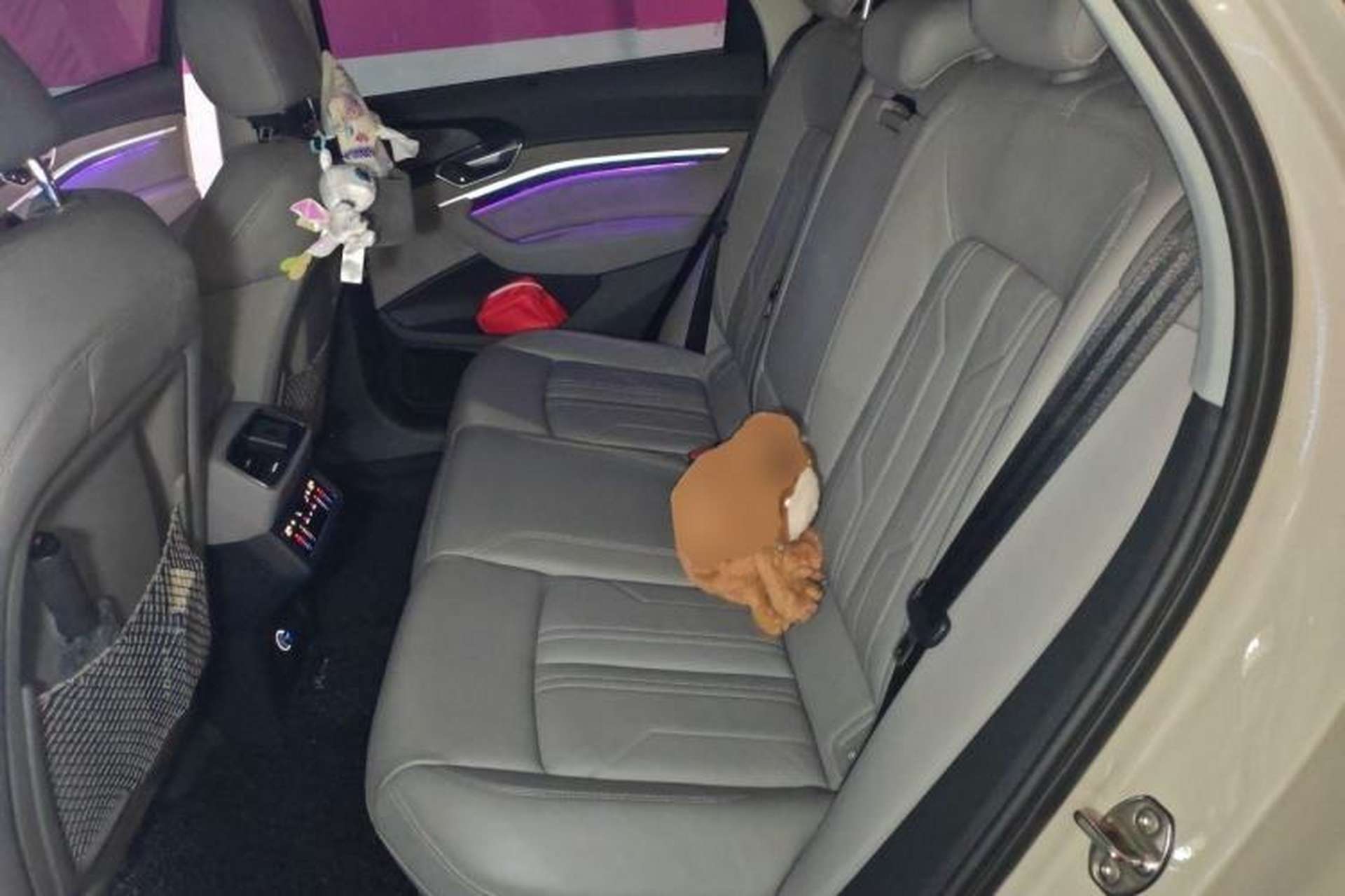 Used Audi e-tron 2019 55 quattro Technology Edition Left Rear Seat
