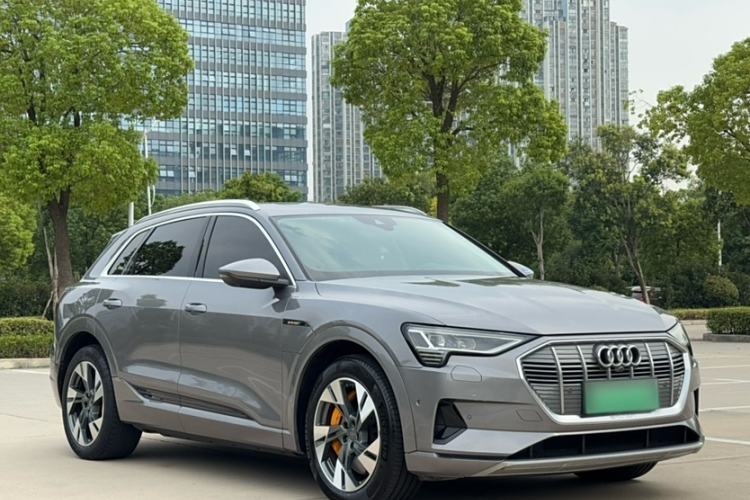 Used Audi e-tron 2019 55 quattro Fashion Edition Exterior 1