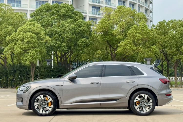 Used Audi e-tron 2019 55 quattro Fashion Edition Exterior 3