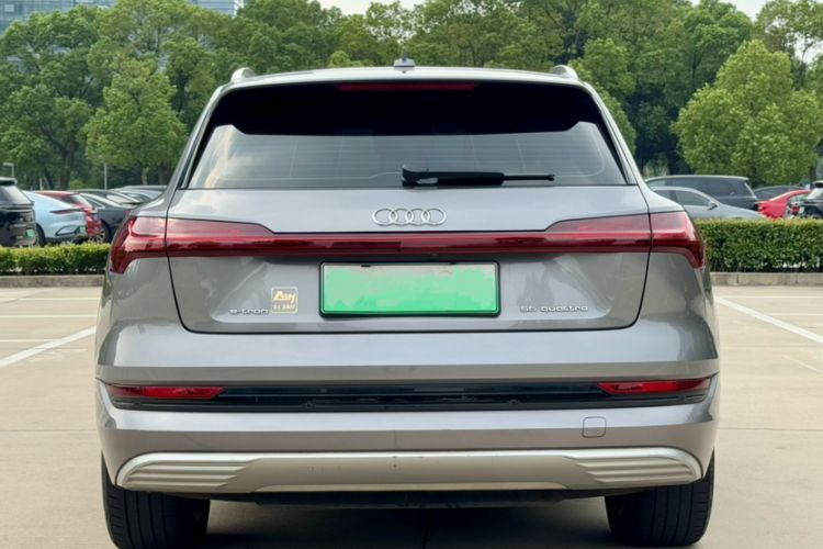 Used Audi e-tron 2019 55 quattro Fashion Edition Exterior 5