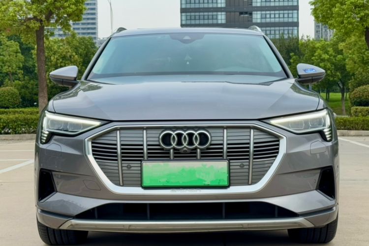 Used Audi e-tron 2019 55 quattro Fashion Edition Exterior 9