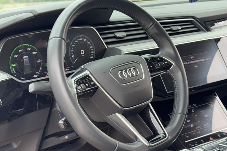 Used Audi e-tron 2019 55 quattro Fashion Edition Interior 2