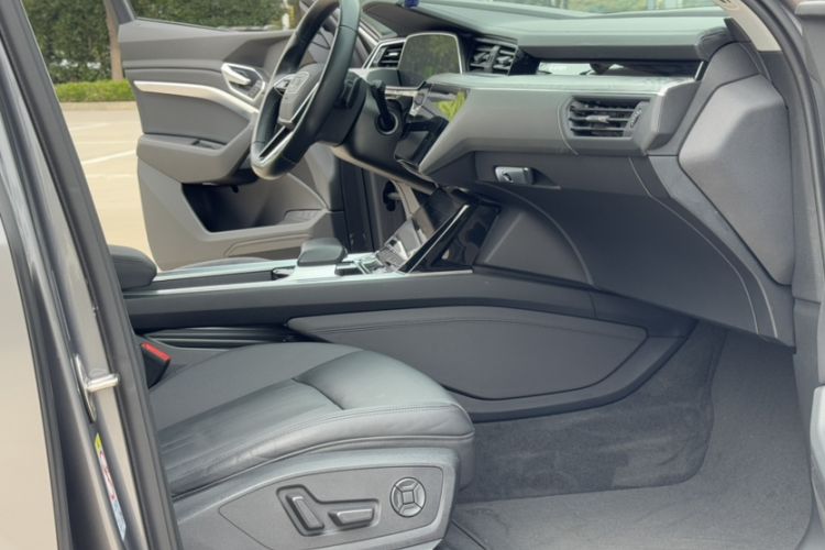 Used Audi e-tron 2019 55 quattro Fashion Edition Interior 7