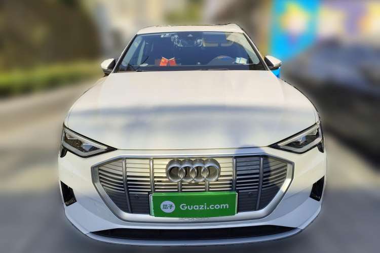 Used Audi e-tron 2019 55 quattro Technology Edition Front