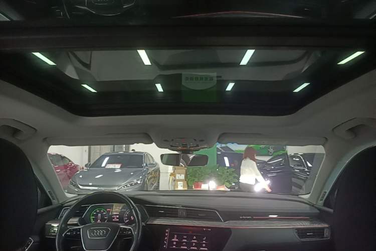 Used Audi e-tron 2019 55 quattro Technology Edition Headliner