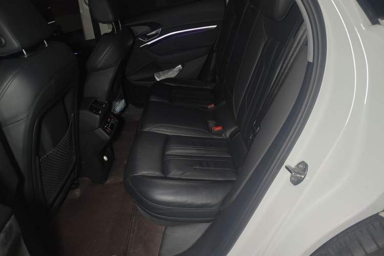 Used Audi e-tron 2019 55 quattro Technology Edition Left Rear Seat