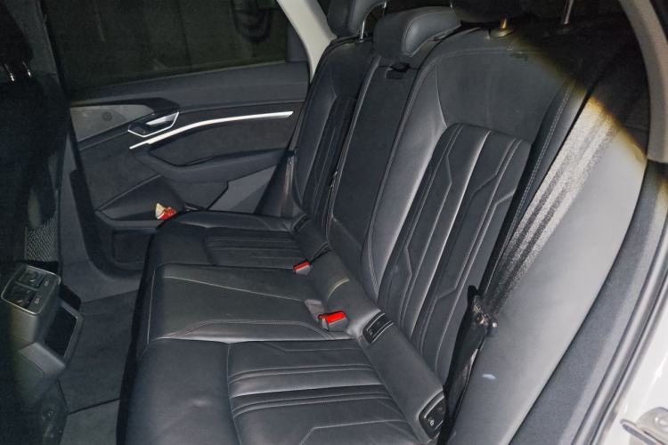 Used Audi e-tron 2019 55 quattro Technology Edition Left Rear Seat